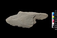 藏品(磨製石器殘件)的圖片