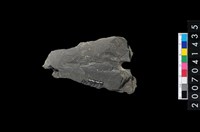 藏品(石矛)的圖片