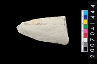 藏品(石矛)的圖片