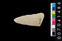 藏品(石矛)的圖片