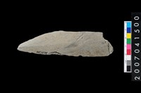 藏品(石矛)的圖片