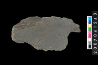 藏品(磨製石器殘件)的圖片