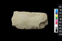 藏品(磨製石器殘件)的圖片