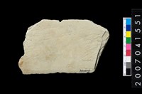 藏品(磨製石器殘件)的圖片