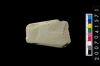 藏品(磨製石器殘件)的圖片