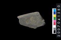 藏品(石矛)的圖片