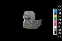 藏品(石矛)的圖片