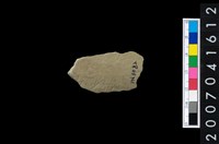 藏品(石矛)的圖片