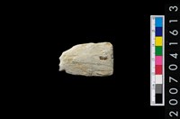 藏品(石矛)的圖片