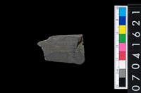 藏品(石矛)的圖片