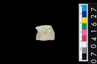 藏品(石矛)的圖片