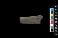 藏品(石矛)的圖片