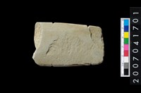 藏品(石矛)的圖片