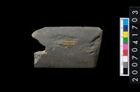 藏品(磨製石器殘件)的圖片