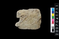 藏品(石矛)的圖片