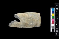 藏品(石矛)的圖片