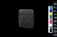 藏品(石矛)的圖片