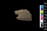 藏品(石矛)的圖片