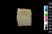 藏品(石矛)的圖片