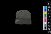 藏品(石矛)的圖片