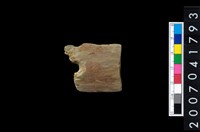 藏品(石矛)的圖片