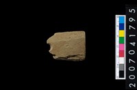 藏品(石矛)的圖片