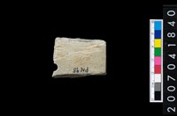 藏品(石矛)的圖片