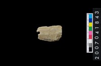 藏品(石矛)的圖片