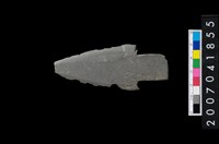 藏品(石鏃)的圖片