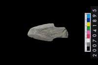 藏品(石鏃 )的圖片