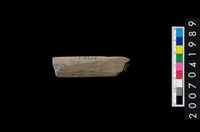 藏品(石鏃 )的圖片