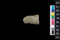 藏品(石鏃)的圖片