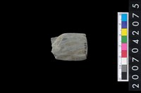 藏品(石鏃)的圖片