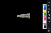 藏品(石鏃)的圖片