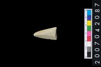 藏品(石鏃 )的圖片