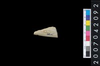 藏品(石鏃 )的圖片