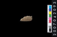 藏品(石鏃 )的圖片