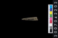 藏品(石鏃)的圖片