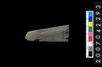 藏品(石鏃)的圖片