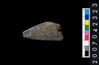 藏品(石鏃)的圖片