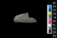 藏品(石鏃)的圖片