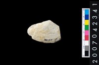 藏品(石鏃)的圖片