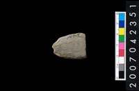 藏品(石鏃)的圖片