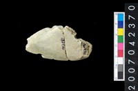 藏品(玉矛)的圖片