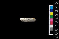 藏品(不明玉器殘件)的圖片