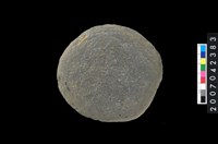 藏品(石環製作材料-打製圓形石板)的圖片