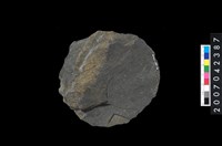 藏品(石環製作材料-打製圓形石板)的圖片