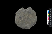 藏品(石環製作材料-打製圓形石板)的圖片