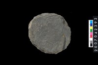 藏品(石環製作材料-打製圓形石板)的圖片