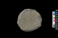 藏品(石環製作材料-打製圓形石板)的圖片